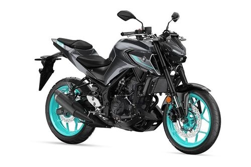 Yamaha MT 03