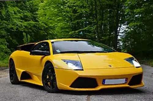 Murcielago